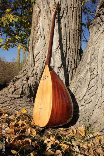 Photo: Turkish instrument Turkish instrument