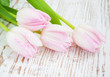 Tulips Bouquet Tulips Bouquet