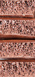 Background of porous milk, black chocolate
