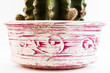decorated jar with cactus