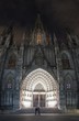 Cathedral of the Holy Cross and Saint Eulalia at night
