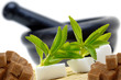 Stevia Rebaudiana mit Zucker und Mörser
