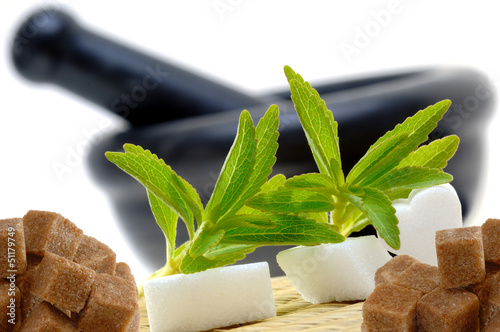 Photo: Stevia Rebaudiana mit Zucker und Mörser Stevia Rebaudiana mit Zucker und Mörser