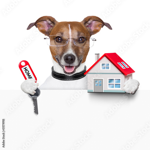 Photo: banner dog home and key banner dog home and key