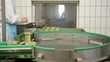 Lebensmittelindustrie // Industrial food production