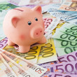 Sparschwein und Euro