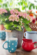 Sommer - Dekoration - Garten