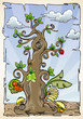ornamental tree waith various fruits