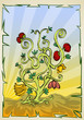ornamental tree
