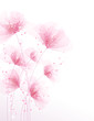 Vector background with flowers