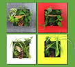 Contemporary wall planter