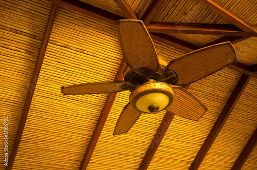 Photo: Ceiling fan Ceiling fan