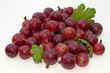 Stachelbeeren