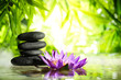 Spa still life with lotus and zen stone on water