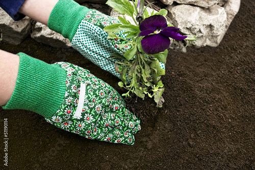 Photo: Planting Flowers Planting Flowers