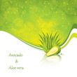 Avocado and Aloe Vera