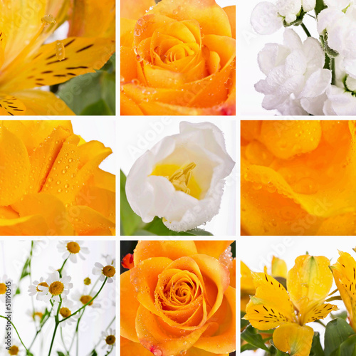 Photo: Collage of yellow flowers Collage of yellow flowers