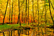 Spiegelung der Natur