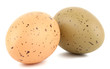 Easter eggs decor isolated on white background