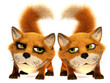 Enamoured foxs