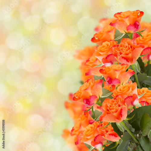 Photo: bouquet of orange roses bouquet of orange roses