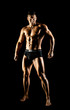 muscular sexy guy