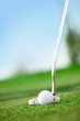 A golf club on a golf course