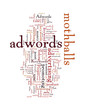 Do You What Is The Percentage Of People Using Adwords Profitably