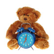 ours en peluche avec réveil