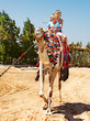 Foto: Tourists riding camel on the beach of Egypt. Tourists riding camel on the beach of Egypt.