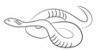 serpent