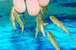 Manicure fish spa beauty treatment