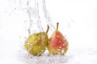 pere splash