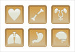 Human Systems Badges Gold and White