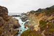 Coast of Big Sur with rocks and vegetation. California. USA.