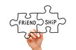 Friendship Puzzle Concept