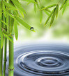 Spa still life with water circles