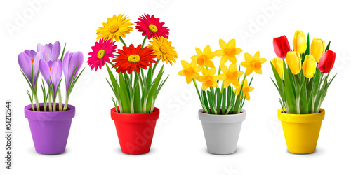 Vector: Collection of spring and summer colorful flowers in pots and wat Collection of spring and summer colorful flowers in pots and wat