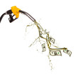 Concept of dollar banknotes and petrol splashing out of pistol
