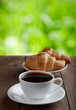 coffee in the garden