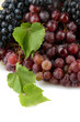 assortment of ripe sweet grapes isolated on white.
