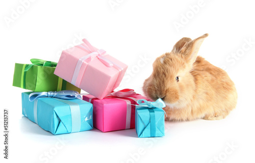 Photo: Fluffy foxy rabbit with gifts isolated on white Fluffy foxy rabbit with gifts isolated on white