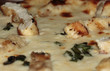 Close UP Of Alfredo, Spinach C...