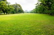 green grass field in big city park