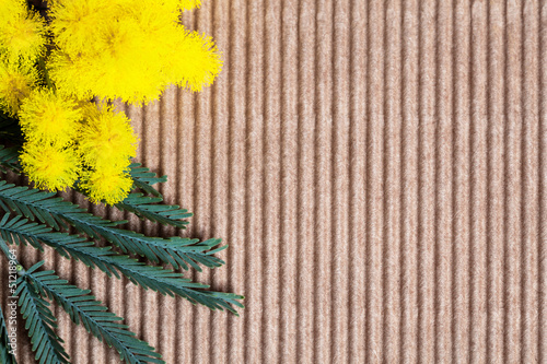 Photo: mimosa su cartoncino mimosa su cartoncino