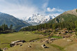 Nanga Parbat and Fairy Meadows