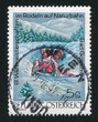 Toboggan