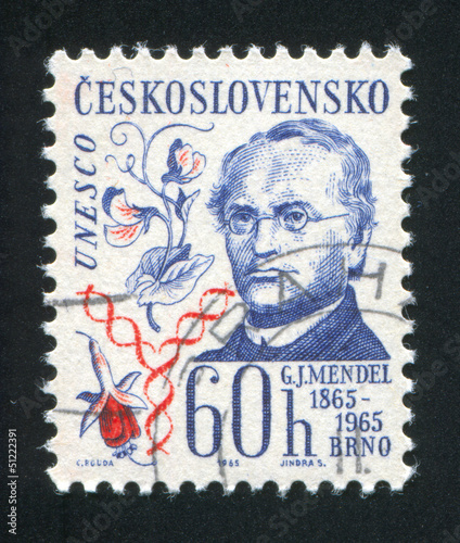 Photo: Gregor Johann Mendel Gregor Johann Mendel