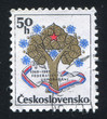 Czechoslovakian Federation