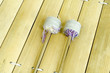 thai alto xylophone